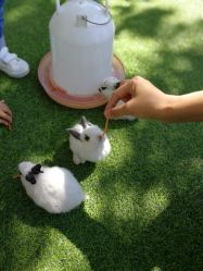 -萌宠亲子动物乐园(槐房万达店)