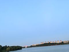 -丁香湖公园