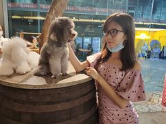 -more than meow吴止猫主题餐厅(承德 中船汇店)