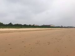 -日照海滨国家森林公园
