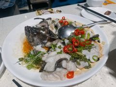 鲜花椒蒸龙趸鱼-任兴记(定西路店)