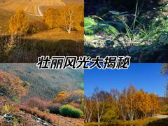 -百里天路