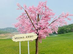 -北京金海湖景区