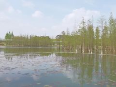 -白鹭湾湿地公园