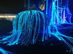 -琅岐红光湖公园
