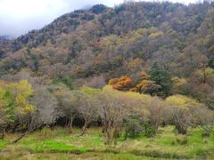 -叠溪松坪沟景区