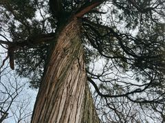 -青岛崂山太清宫