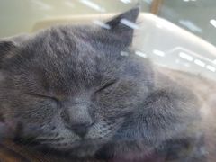 -乐宠宠物店(世纪金源店)