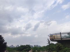 -合肥野生动物园