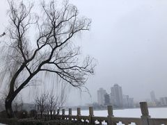 -迎泽公园