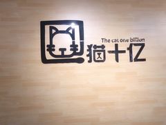 -猫十亿·布偶金渐层·曼基康矮脚猫舍(青年路店)