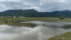 -纳帕海依拉草原