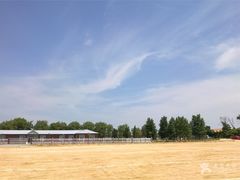 -东戴河风景区-止锚湾