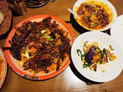 -柴窝堡22号辣子鸡·传承新疆菜