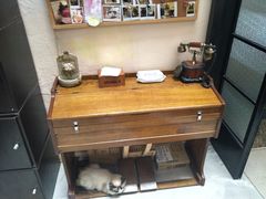 -猫色咖啡·猫咖