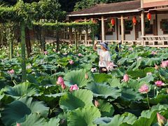 -广州莲花山旅游区