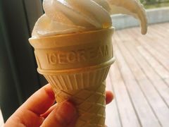 自己做的diy冰淇淋-煲宫猪肚鸡(晶品店)