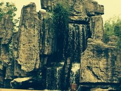 iphone_upload_pic-溱湖国家湿地公园