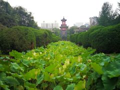 -四川大学(华西校区)