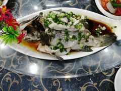 -七鲜渔港美食餐厅(巽寮湾海景店)