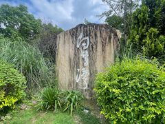 -白鹭湾湿地公园