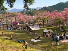 -风云岭森林公园