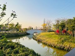 -王借岗森林公园
