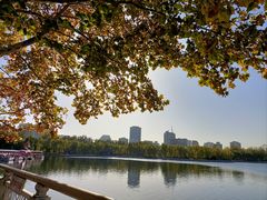 -莲花池公园