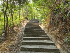 -火炉山森林公园