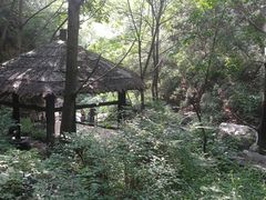 -九龙潭景区