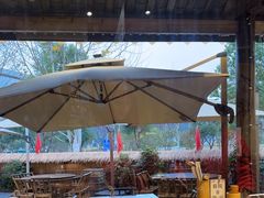 -后湖小院·乡野田园菜