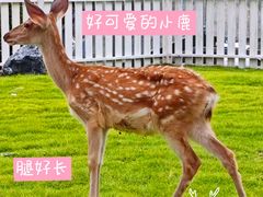 -长沙悦方ID MALL