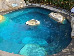 -溧阳天目湖天沐温泉