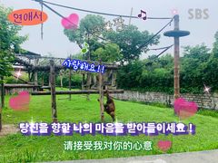 -上海野生动物园