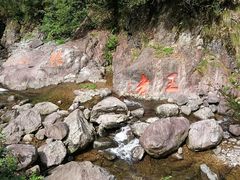 -湖州龙王山景区