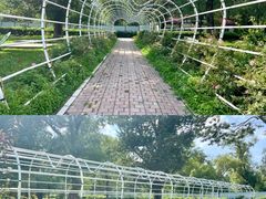 -长春市南湖公园