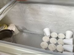 -洪馨椰子