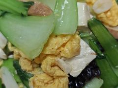 -陶然饺子城(奥体中路店)