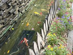 -老洋房花园饭店(绍兴路店)