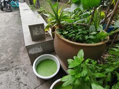 -小洲村