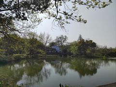 -西溪国家湿地公园