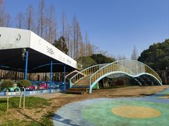 -东平国家森林公园