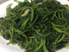 炒蕃薯叶-湛江海鲜餐厅
