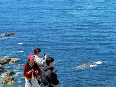 -养马岛旅游度假区