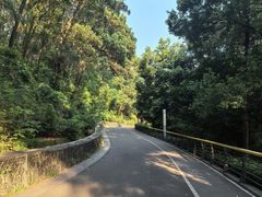 -红花山公园