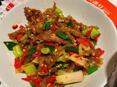 -壹盏灯(惠农店)