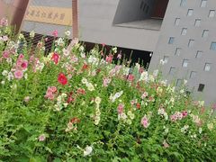 -国际非物质文化遗产博览园