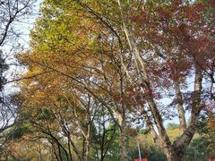 -赭山公园