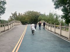 -眉山湿地公园(东坡区)