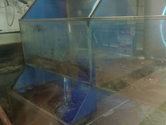 -鱼酷活鱼烤鱼(沈阳大悦城店)